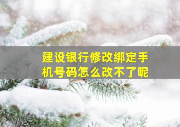 建设银行修改绑定手机号码怎么改不了呢