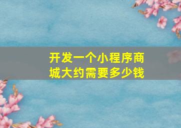 开发一个小程序商城大约需要多少钱