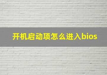 开机启动项怎么进入bios