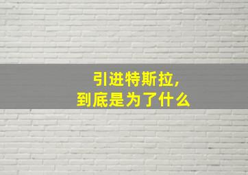 引进特斯拉,到底是为了什么