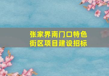 张家界南门口特色街区项目建设招标