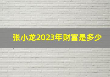 张小龙2023年财富是多少