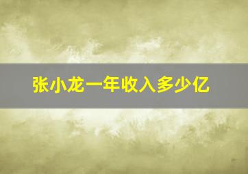 张小龙一年收入多少亿