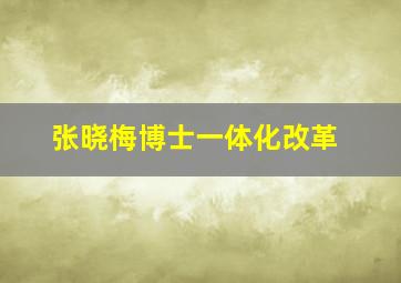 张晓梅博士一体化改革