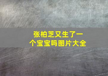 张柏芝又生了一个宝宝吗图片大全