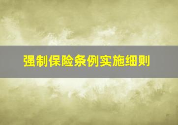 强制保险条例实施细则