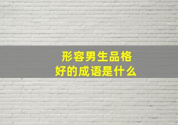 形容男生品格好的成语是什么