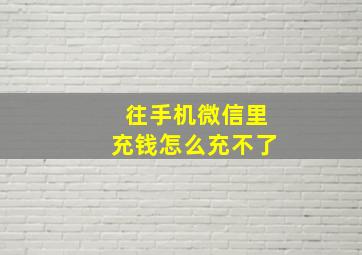 往手机微信里充钱怎么充不了