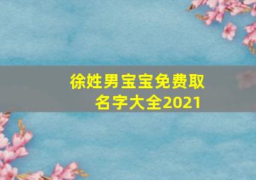 徐姓男宝宝免费取名字大全2021