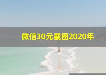 微信30元截图2020年