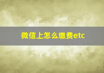 微信上怎么缴费etc