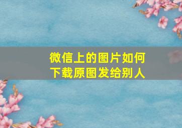 微信上的图片如何下载原图发给别人