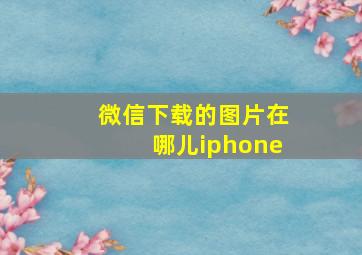 微信下载的图片在哪儿iphone