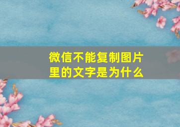 微信不能复制图片里的文字是为什么