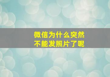 微信为什么突然不能发照片了呢