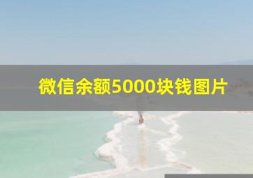 微信余额5000块钱图片