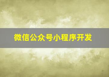 微信公众号小程序开发