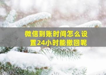 微信到账时间怎么设置24小时能撤回呢