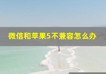 微信和苹果5不兼容怎么办