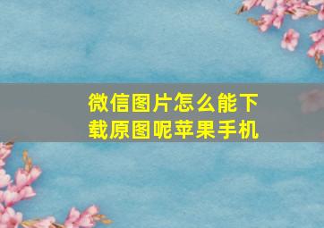 微信图片怎么能下载原图呢苹果手机