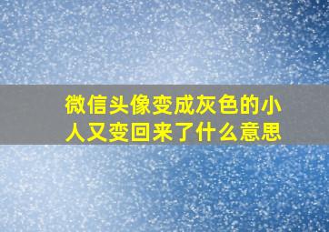 微信头像变成灰色的小人又变回来了什么意思