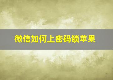 微信如何上密码锁苹果