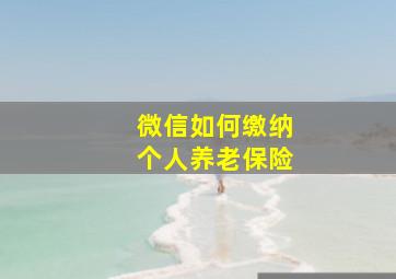 微信如何缴纳个人养老保险