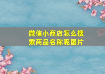 微信小商店怎么搜索商品名称呢图片