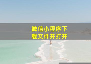 微信小程序下载文件并打开