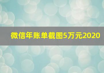 微信年账单截图5万元2020