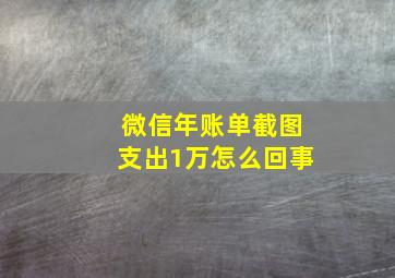 微信年账单截图支出1万怎么回事