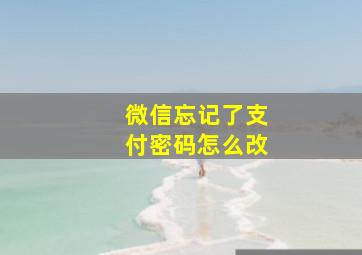 微信忘记了支付密码怎么改