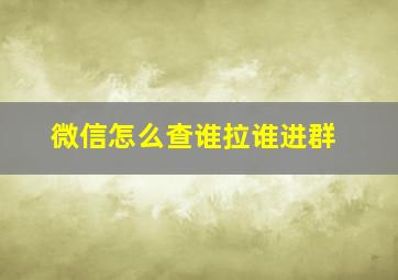 微信怎么查谁拉谁进群