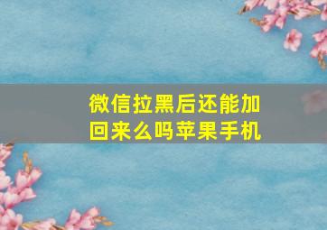 微信拉黑后还能加回来么吗苹果手机