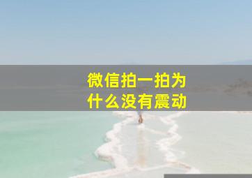 微信拍一拍为什么没有震动