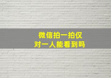 微信拍一拍仅对一人能看到吗