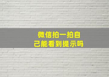 微信拍一拍自己能看到提示吗