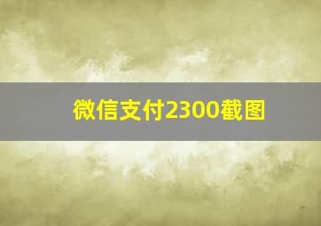 微信支付2300截图