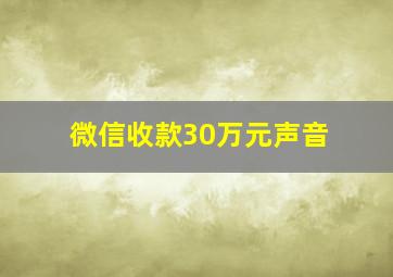 微信收款30万元声音