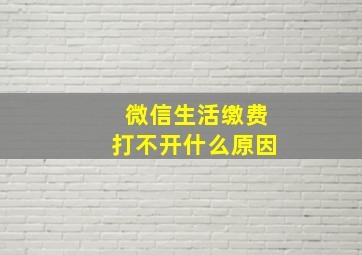 微信生活缴费打不开什么原因