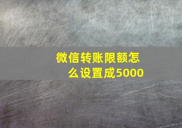 微信转账限额怎么设置成5000