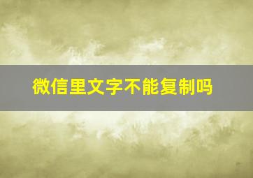 微信里文字不能复制吗