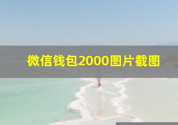 微信钱包2000图片截图