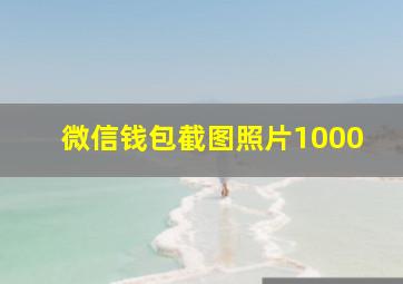 微信钱包截图照片1000