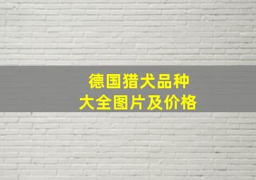 德国猎犬品种大全图片及价格