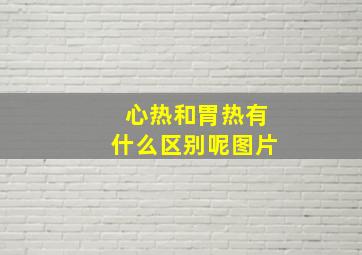 心热和胃热有什么区别呢图片