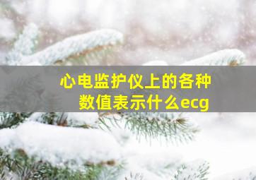 心电监护仪上的各种数值表示什么ecg