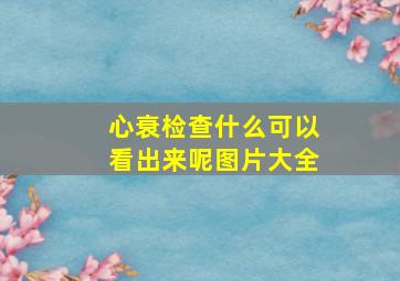 心衰检查什么可以看出来呢图片大全