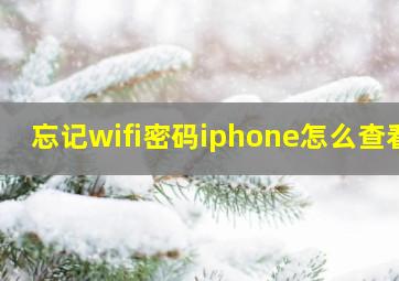 忘记wifi密码iphone怎么查看