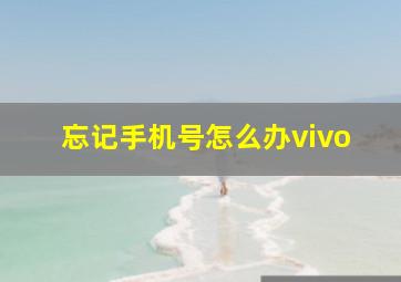 忘记手机号怎么办vivo